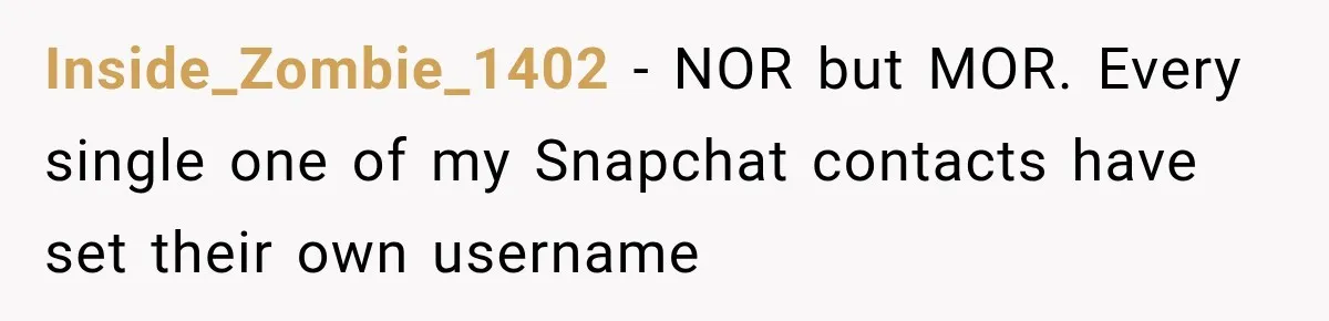 Wife Accidentally Sends Snapchat Screenshot To Group Chat, And Her Husband Notices One Very Strange Detail Inside_Zombie_1402 − NOR but MOR. Every single one of my Snapchat contacts have set their own username