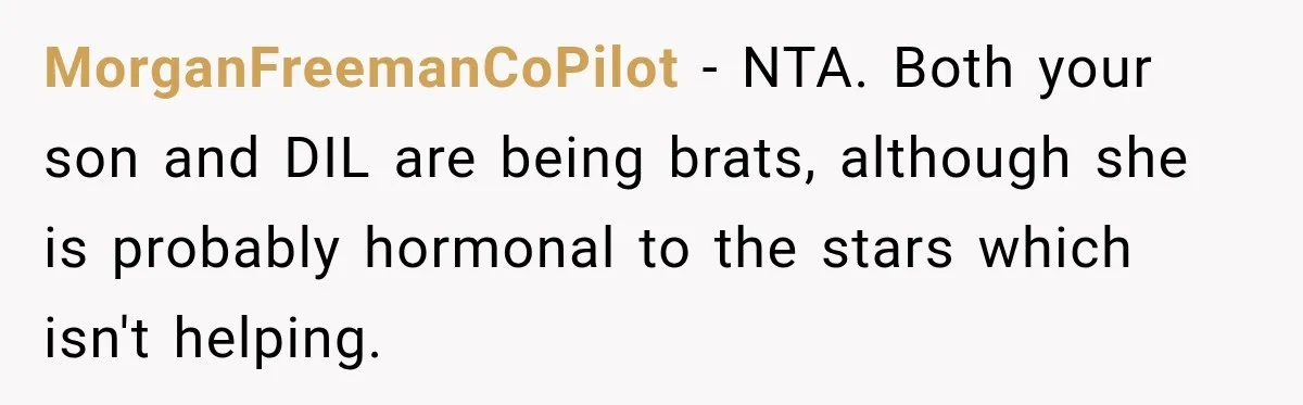 MorganFreemanCoPilot − NTA. Both your son and DIL are being brats, although she is probably hormonal to the stars which isn't helping.