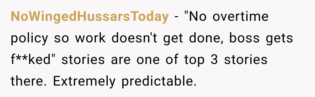 NoWingedHussarsToday − "No overtime policy so work doesn't get done, boss gets f**ked" stories are one of top 3 stories there. Extremely predictable.