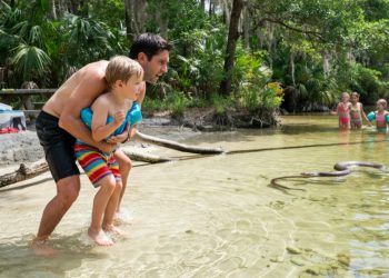 Dad Saves His Son From A Snake, Then Accidentally Sends It Flying Onto A Girl Scout Picnic Table