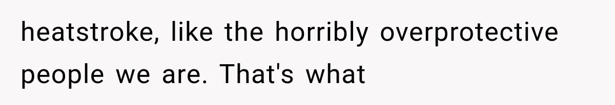 Their Kids’ Birthday Ends Happily, Until the Grandparents Send a 14-Page Visitation Ultimatum heatstroke, like the horribly overprotective people we are. That's what