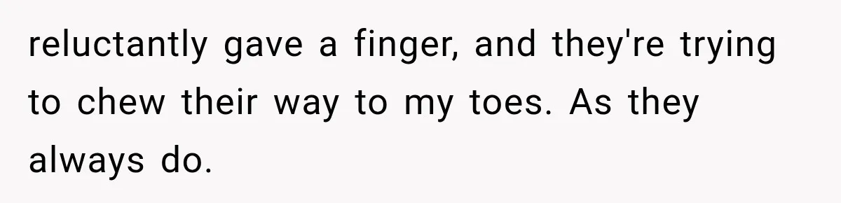 Their Kids’ Birthday Ends Happily, Until the Grandparents Send a 14-Page Visitation Ultimatum reluctantly gave a finger, and they're trying to chew their way to my toes. As they always do.