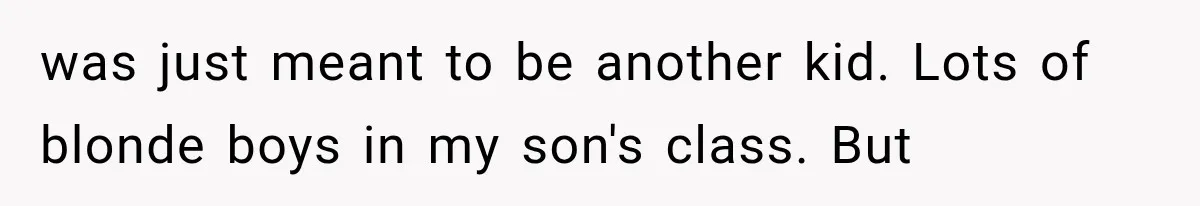 was just meant to be another kid. Lots of blonde boys in my son's class. But