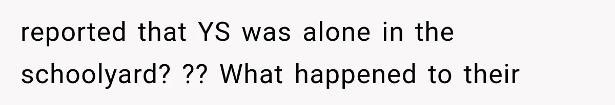 reported that YS was alone in the schoolyard? ?? What happened to their