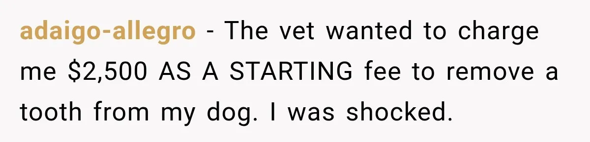 Dentist Ignores Patient’s $400 Limit, Sends A $1,200 Bill, Then Gives Up Four Years Later adaigo-allegro − The vet wanted to charge me $2,500 AS A STARTING fee to remove a tooth from my dog. I was shocked.