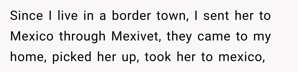 Dentist Ignores Patient’s $400 Limit, Sends A $1,200 Bill, Then Gives Up Four Years Later Since I live in a border town, I sent her to Mexico through Mexivet, they came to my home, picked her up, took her to mexico,
