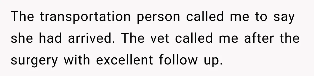 Dentist Ignores Patient’s $400 Limit, Sends A $1,200 Bill, Then Gives Up Four Years Later The transportation person called me to say she had arrived. The vet called me after the surgery with excellent follow up.