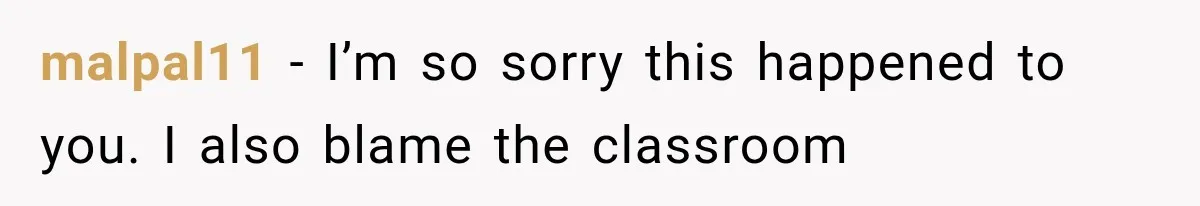 malpal11 − I’m so sorry this happened to you. I also blame the classroom