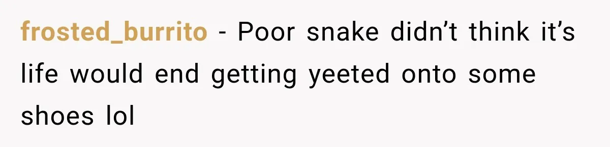 frosted_burrito − Poor snake didn’t think it’s life would end getting yeeted onto some shoes lol