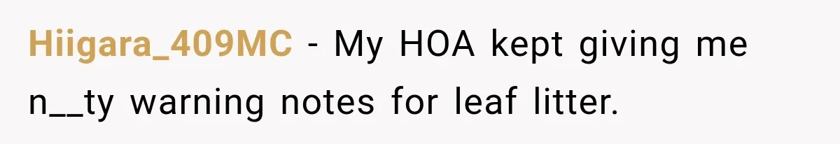 Hiigara_409MC − My HOA kept giving me n__ty warning notes for leaf litter.
