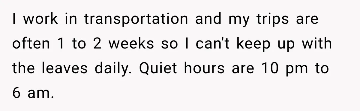 I work in transportation and my trips are often 1 to 2 weeks so I can't keep up with the leaves daily. Quiet hours are 10 pm to 6 am.