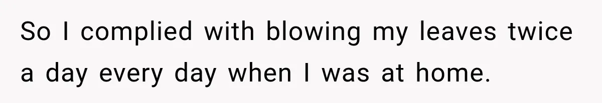 So I complied with blowing my leaves twice a day every day when I was at home.
