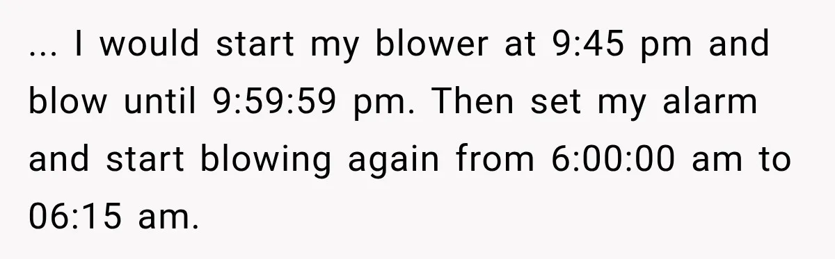 ... I would start my blower at 9:45 pm and blow until 9:59:59 pm. Then set my alarm and start blowing again from 6:00:00 am to 06:15 am.