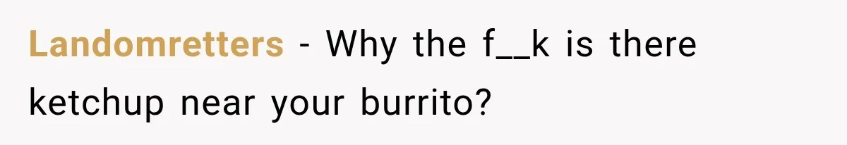 Landomretters − Why the f__k is there ketchup near your burrito?