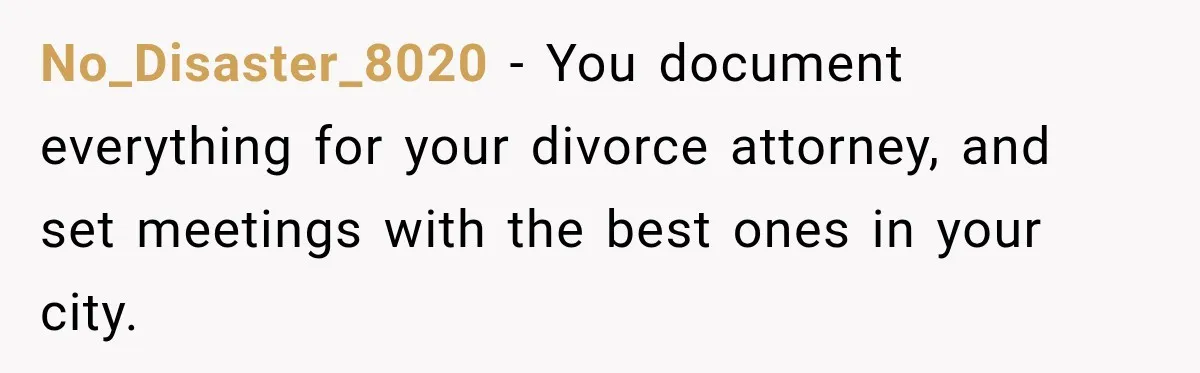 No_Disaster_8020 − You document everything for your divorce attorney, and set meetings with the best ones in your city.