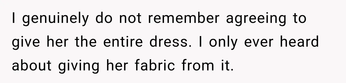 I genuinely do not remember agreeing to give her the entire dress. I only ever heard about giving her fabric from it.