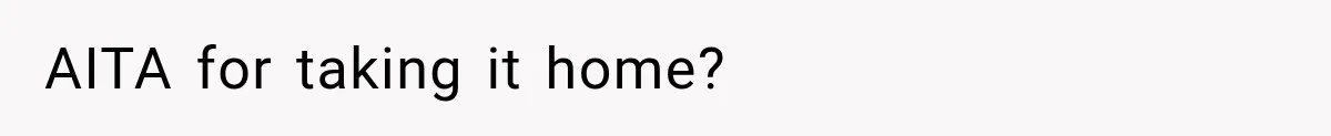 AITA for taking it home?