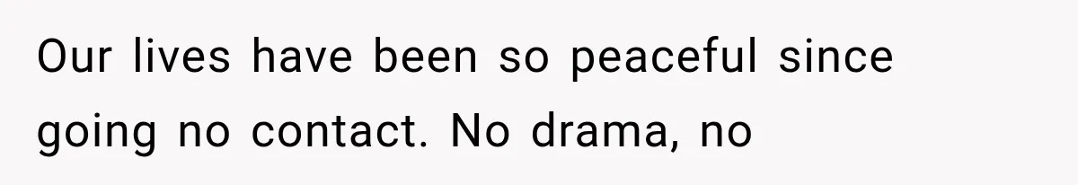 Our lives have been so peaceful since going no contact. No drama, no
