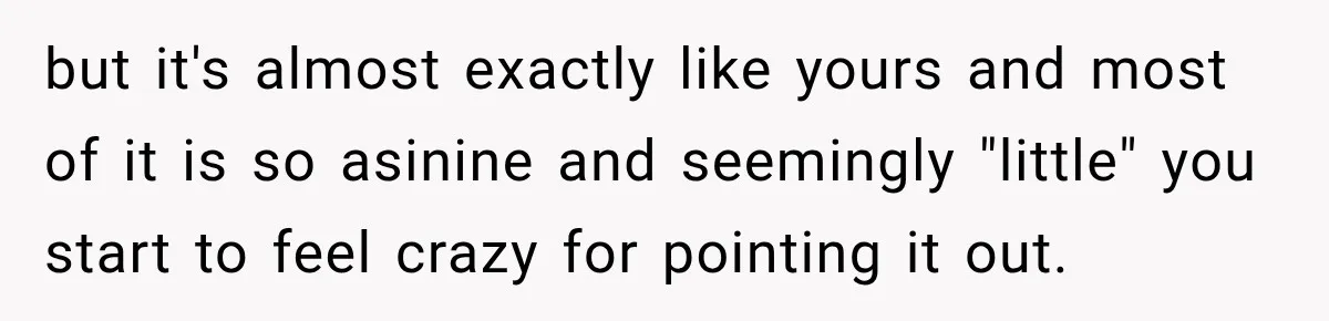 but it's almost exactly like yours and most of it is so asinine and seemingly "little" you start to feel crazy for pointing it out.