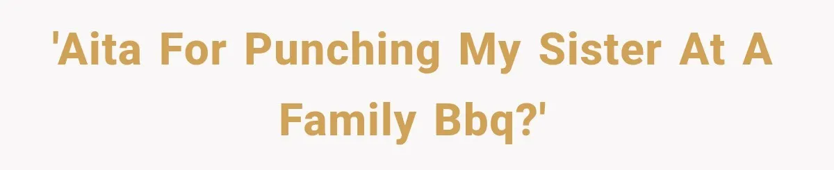 'AITA for punching my sister at a family BBQ?'
