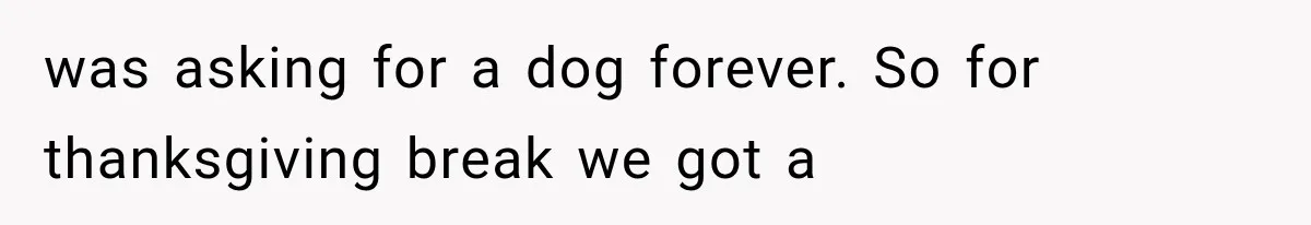Grandmother Tells Allergic Granddaughter Mommy Doesn’t Love Her, Then Loses Access to the Kids was asking for a dog forever. So for thanksgiving break we got a