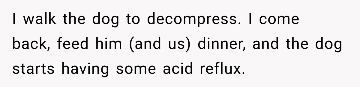 Bride-To-Be Says Her Fiancé's Constant Slipups Are Draining Her Trust Before The Wedding I walk the dog to decompress. I come back, feed him (and us) dinner, and the dog starts having some acid reflux.