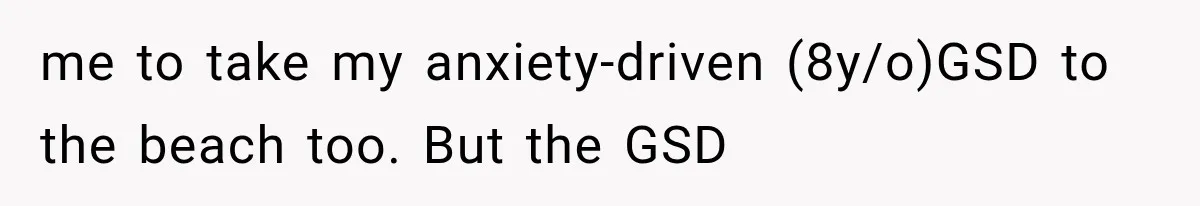 me to take my anxiety-driven (8y/o)GSD to the beach too. But the GSD