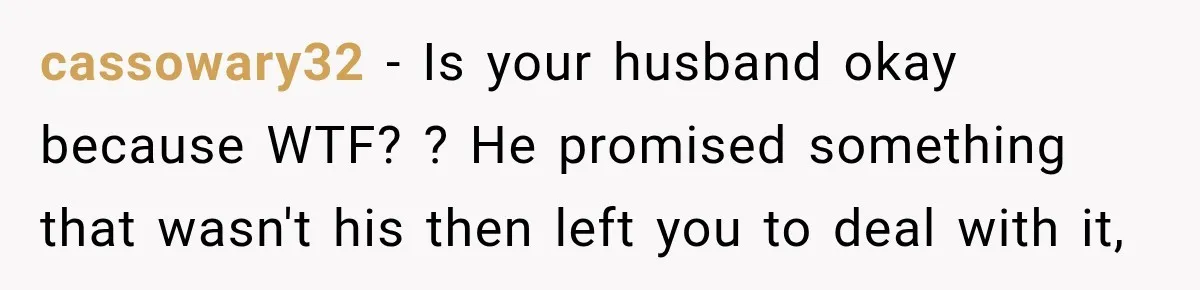 cassowary32 − Is your husband okay because WTF? ? He promised something that wasn't his then left you to deal with it,