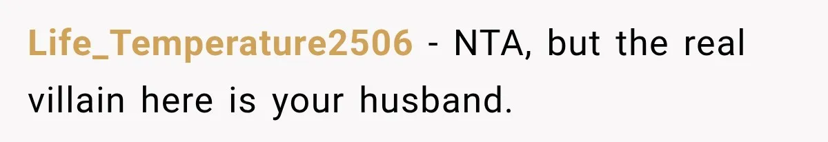 Life_Temperature2506 − NTA, but the real villain here is your husband.