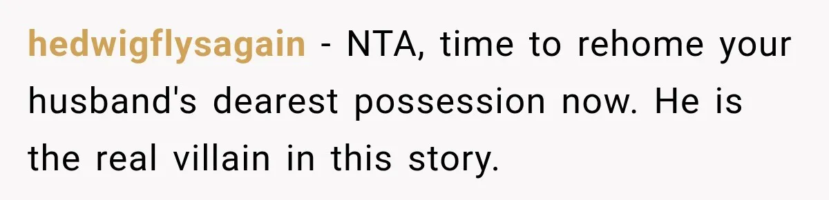 hedwigflysagain − NTA, time to rehome your husband's dearest possession now. He is the real villain in this story.