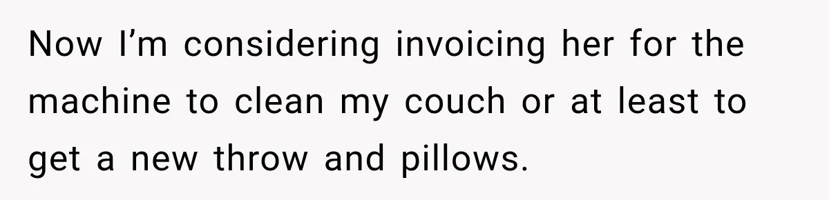 Now I’m considering invoicing her for the machine to clean my couch or at least to get a new throw and pillows.