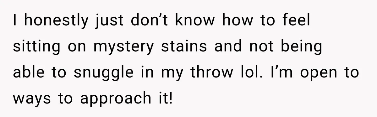 I honestly just don’t know how to feel sitting on mystery stains and not being able to snuggle in my throw lol. I’m open to ways to approach it!