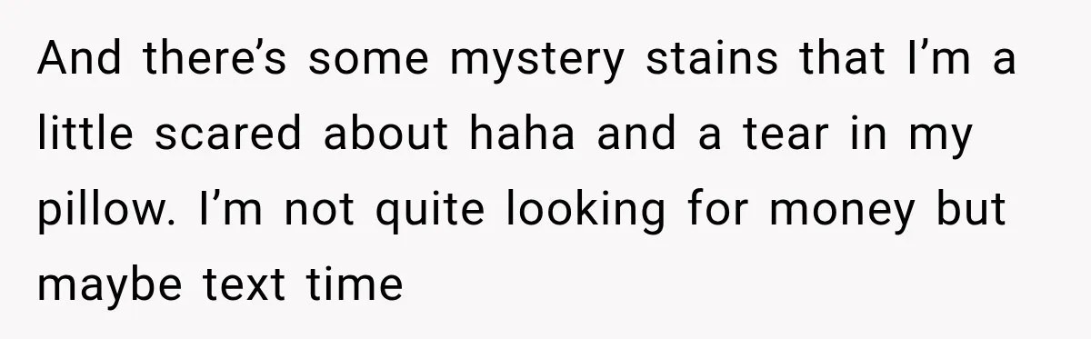 And there’s some mystery stains that I’m a little scared about haha and a tear in my pillow. I’m not quite looking for money but maybe text time