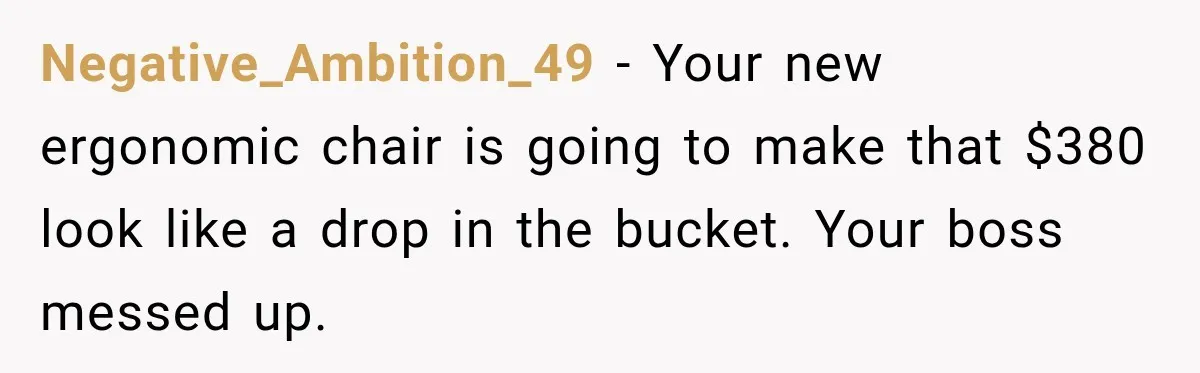Negative_Ambition_49 − Your new ergonomic chair is going to make that $380 look like a drop in the bucket. Your boss messed up.