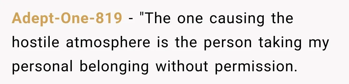 Adept-One-819 − "The one causing the hostile atmosphere is the person taking my personal belonging without permission.