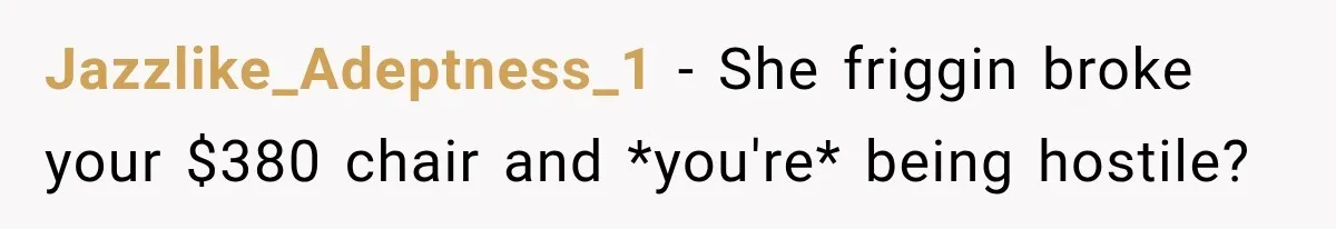 Jazzlike_Adeptness_1 − She friggin broke your $380 chair and *you're* being hostile?