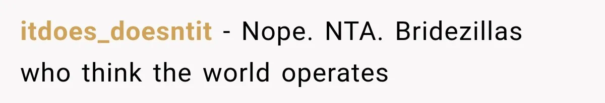 itdoes_doesntit − Nope. NTA. Bridezillas who think the world operates