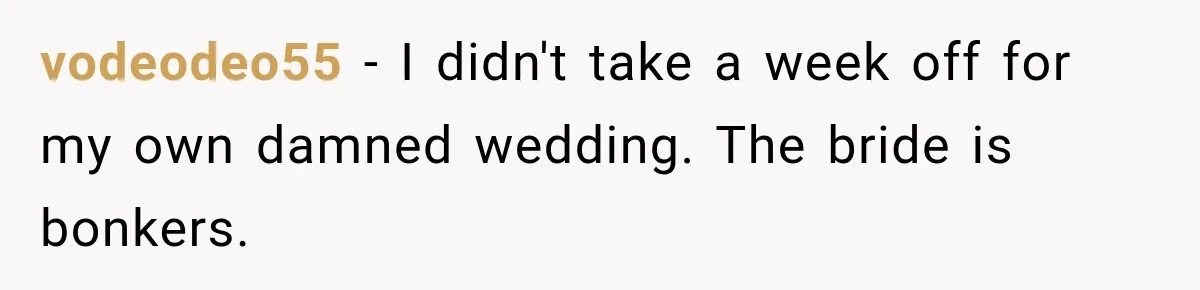 vodeodeo55 − I didn't take a week off for my own damned wedding. The bride is bonkers.