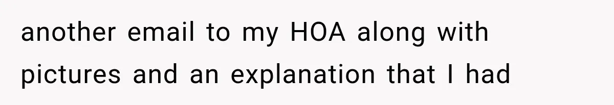 Woman Lets Best Friend Sleep Beside Her After His Cot Breaks, Then Starts Questioning Their Entire Friendship another email to my HOA along with pictures and an explanation that I had