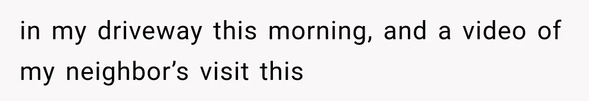 Woman Lets Best Friend Sleep Beside Her After His Cot Breaks, Then Starts Questioning Their Entire Friendship in my driveway this morning, and a video of my neighbor’s visit this