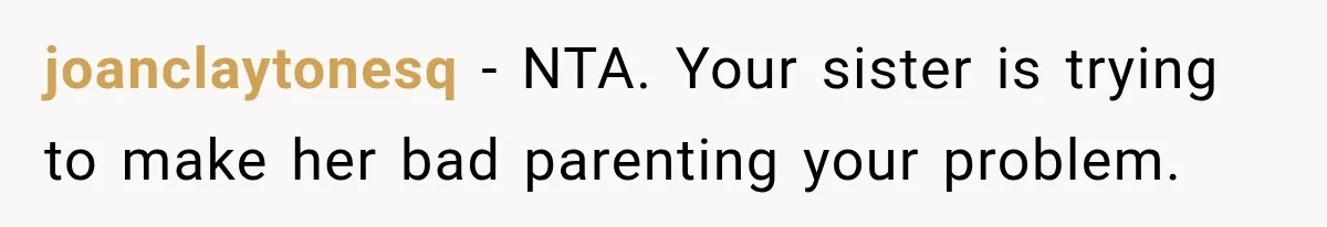joanclaytonesq − NTA. Your sister is trying to make her bad parenting your problem.