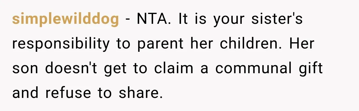 simplewilddog − NTA. It is your sister's responsibility to parent her children. Her son doesn't get to claim a communal gift and refuse to share.