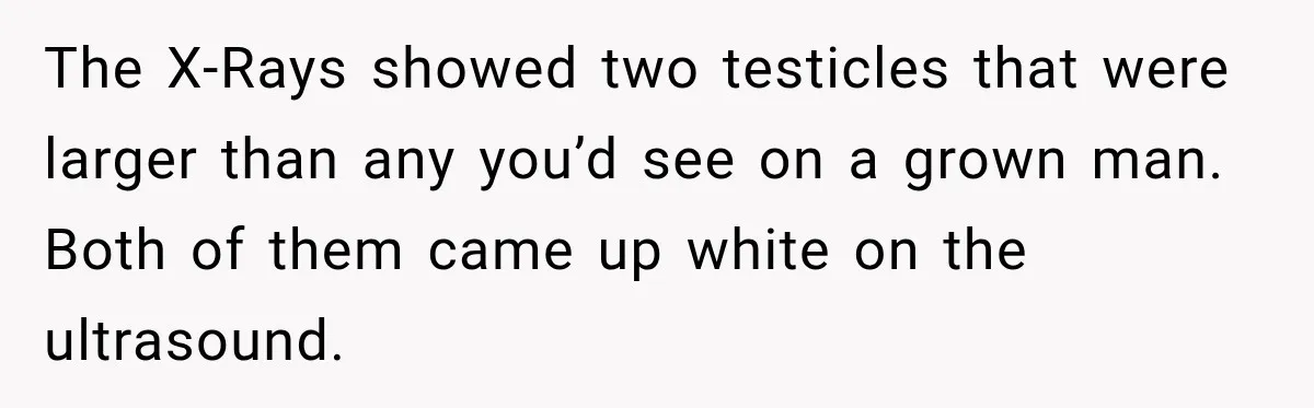 The X-Rays showed two testicles that were larger than any you’d see on a grown man. Both of them came up white on the ultrasound.