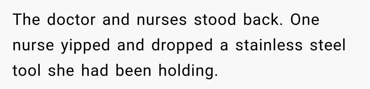 The doctor and nurses stood back. One nurse yipped and dropped a stainless steel tool she had been holding.