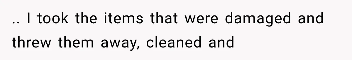 .. I took the items that were damaged and threw them away, cleaned and