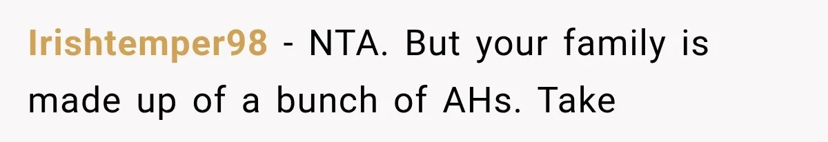 Irishtemper98 − NTA. But your family is made up of a bunch of AHs. Take