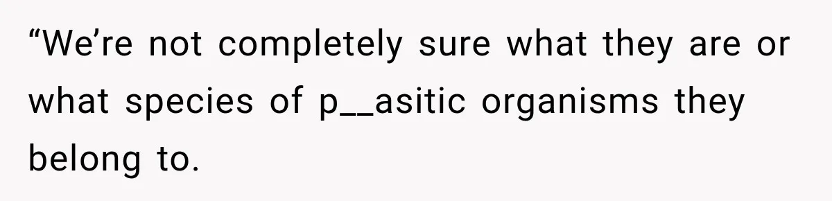 “We’re not completely sure what they are or what species of p__asitic organisms they belong to.