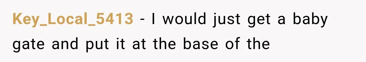 Key_Local_5413 − I would just get a baby gate and put it at the base of the