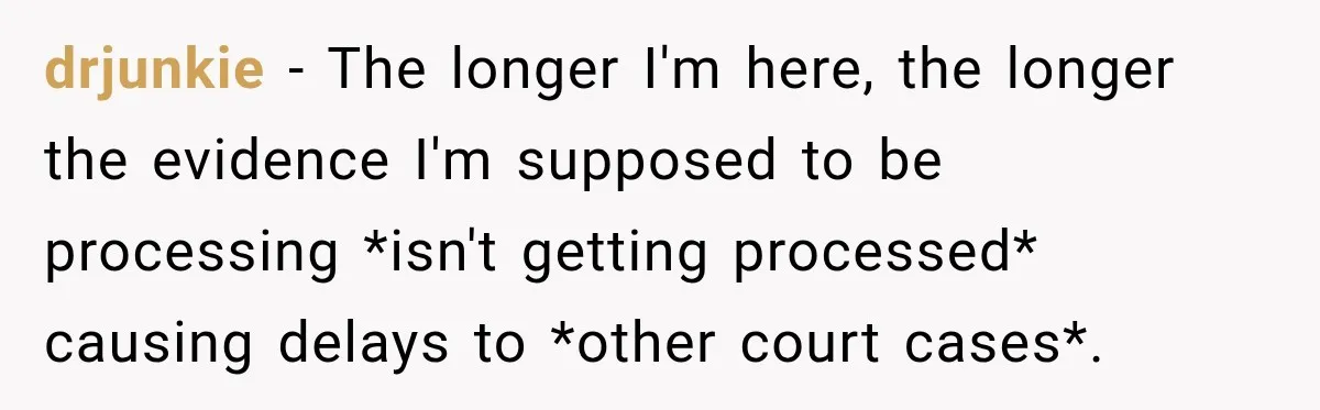 drjunkie − The longer I'm here, the longer the evidence I'm supposed to be processing *isn't getting processed* causing delays to *other court cases*.