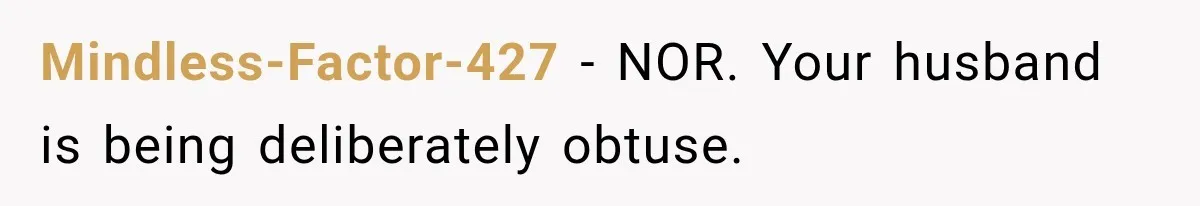 Mindless-Factor-427 − NOR. Your husband is being deliberately obtuse.